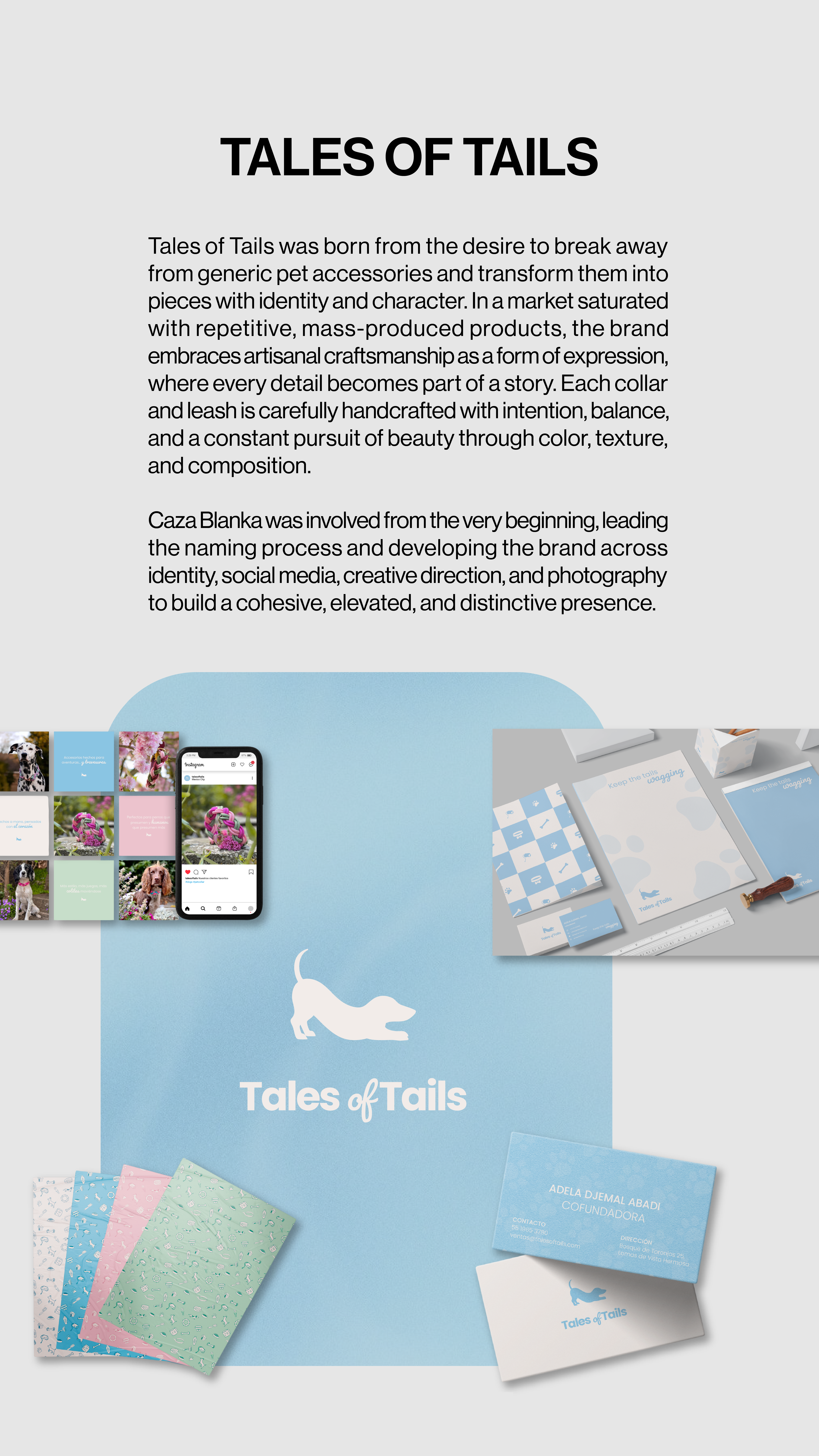 Mobile project 13